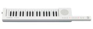 1582118423128-Yamaha SHS 300 White Sonogenic Keytar Keyboard.jpg